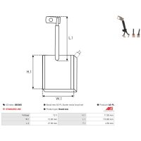 AS-PL SB5005 Kohlebürste, Starter
