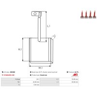 AS-PL SB5008 Kohlebürste, Starter
