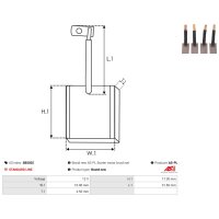 AS-PL SB5025 Kohlebürste, Starter