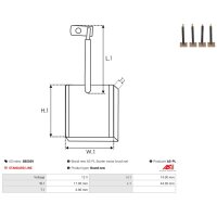 AS-PL SB5029 Kohlebürste, Starter