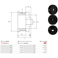AS-PL AP0010 Riemenscheibe, Generator