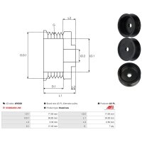AS-PL AP0028 Riemenscheibe, Generator