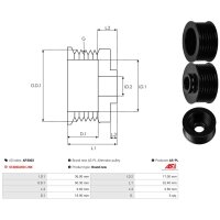 AS-PL AP3002 Riemenscheibe, Generator