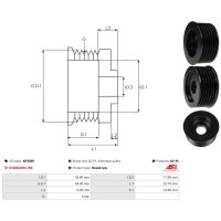 AS-PL AP3005 Riemenscheibe, Generator