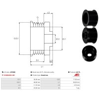 AS-PL AP3006 Riemenscheibe, Generator