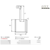AS-PL BSX148(IKA) Kohlebürste, Starter