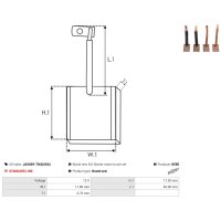 AS-PL JASX69-70(4)(IKA) Kohlebürste, Starter