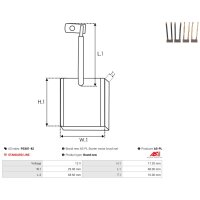 AS-PL PSX81-82 Kohlebürste, Starter
