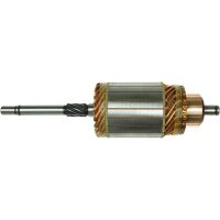 AS-PL SA0015 Anker, Starter