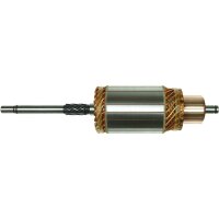 AS-PL SA0017 Anker, Starter