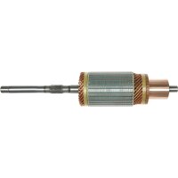 AS-PL SA0042 Anker, Starter
