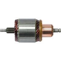 AS-PL SA0061 Anker, Starter