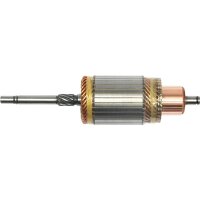AS-PL SA0081 Anker, Starter