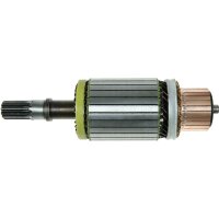 AS-PL SA2011 Anker, Starter