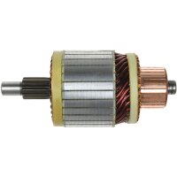 AS-PL SA5010 Anker, Starter