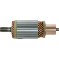 AS-PL SA6002 Anker, Starter