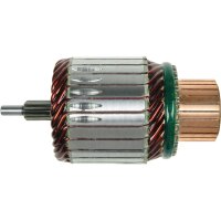 AS-PL SA6031S Anker, Starter