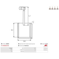 AS-PL SB0001 Kohlebürste, Starter