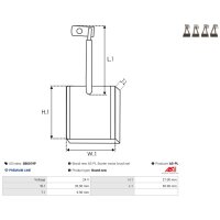 AS-PL SB0019P Kohlebürste, Starter