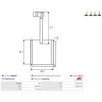 AS-PL SB0026P Kohlebürste, Starter