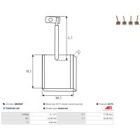 AS-PL SB0030P Kohlebürste, Starter