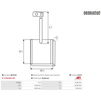 AS-PL SB1013S Kohlebürste, Starter