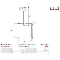 AS-PL SB1023S Kohlebürste, Starter