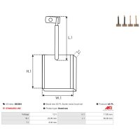 AS-PL SB2004 Kohlebürste, Starter
