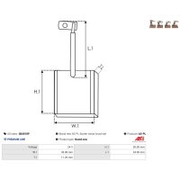 AS-PL SB4018P Kohlebürste, Starter