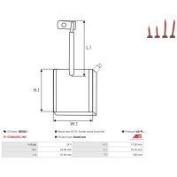 AS-PL SB5021 Kohlebürste, Starter