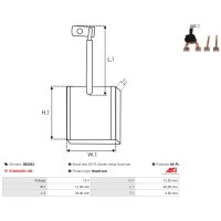 AS-PL SB5033 Kohlebürste, Starter