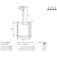 AS-PL SB6030S Kohlebürste, Starter
