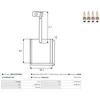 AS-PL SB9010(LETRIKA) Kohlebürste, Starter