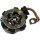 AS-PL SBH0027 Halter, Kohlebürsten