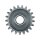 AS-PL SD6064 Freilaufgetriebe, Starter