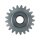 AS-PL SD6064 Freilaufgetriebe, Starter
