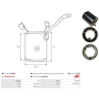 AS-PL SF0020 Erregerwicklung, Starter