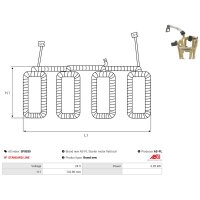 AS-PL SF0030 Erregerwicklung, Starter
