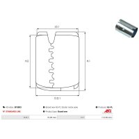 AS-PL SF3003 Erregerwicklung, Starter