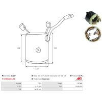 AS-PL SF3007 Erregerwicklung, Starter