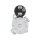 AS-PL S3219S Starter