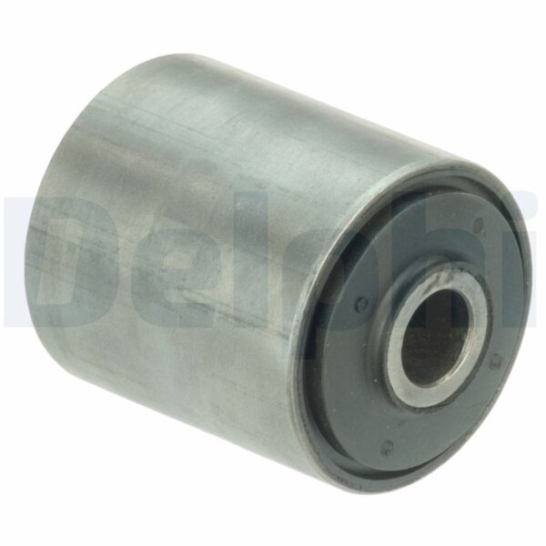 DELPHI TD1193W Lagerung, Blattfeder