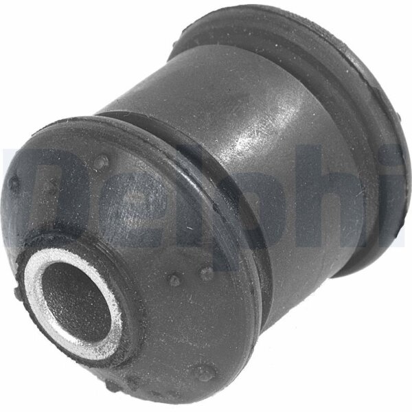 DELPHI TD248W Lagerung, Lenker