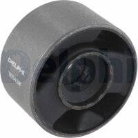 DELPHI TD343W Lagerung, Lenker
