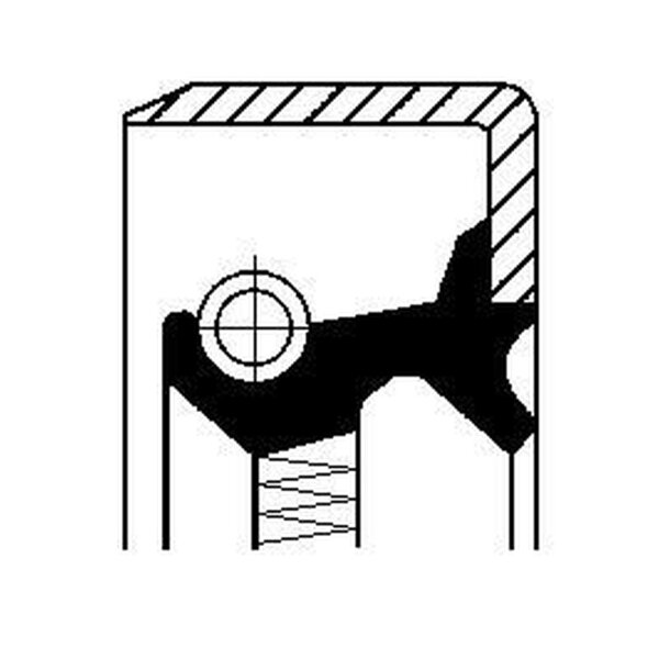 CORTECO 01029681B Wellendichtring, Differential