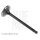 BLUE PRINT ADU176102 Einlassventil