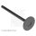 BLUE PRINT ADU176102 Einlassventil