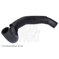 BLUE PRINT ADBP930008 Kühlerschlauch