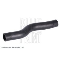 BLUE PRINT ADBP930009 Kühlerschlauch
