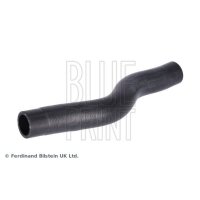BLUE PRINT ADBP930009 Kühlerschlauch